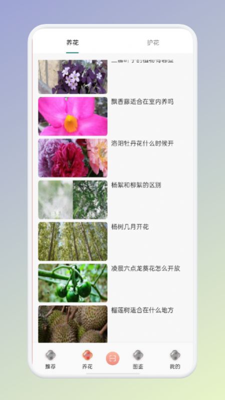 拍照识花识别植物app官方版