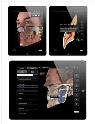 Dental Patient Education Lite app手机版(口腔解剖百科全书)