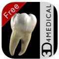 Dental Patient Education Lite app手机版(口腔解剖百科全书)