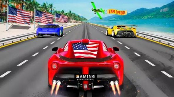 公路赛车pro游戏安卓版（Highway Racer Pro）